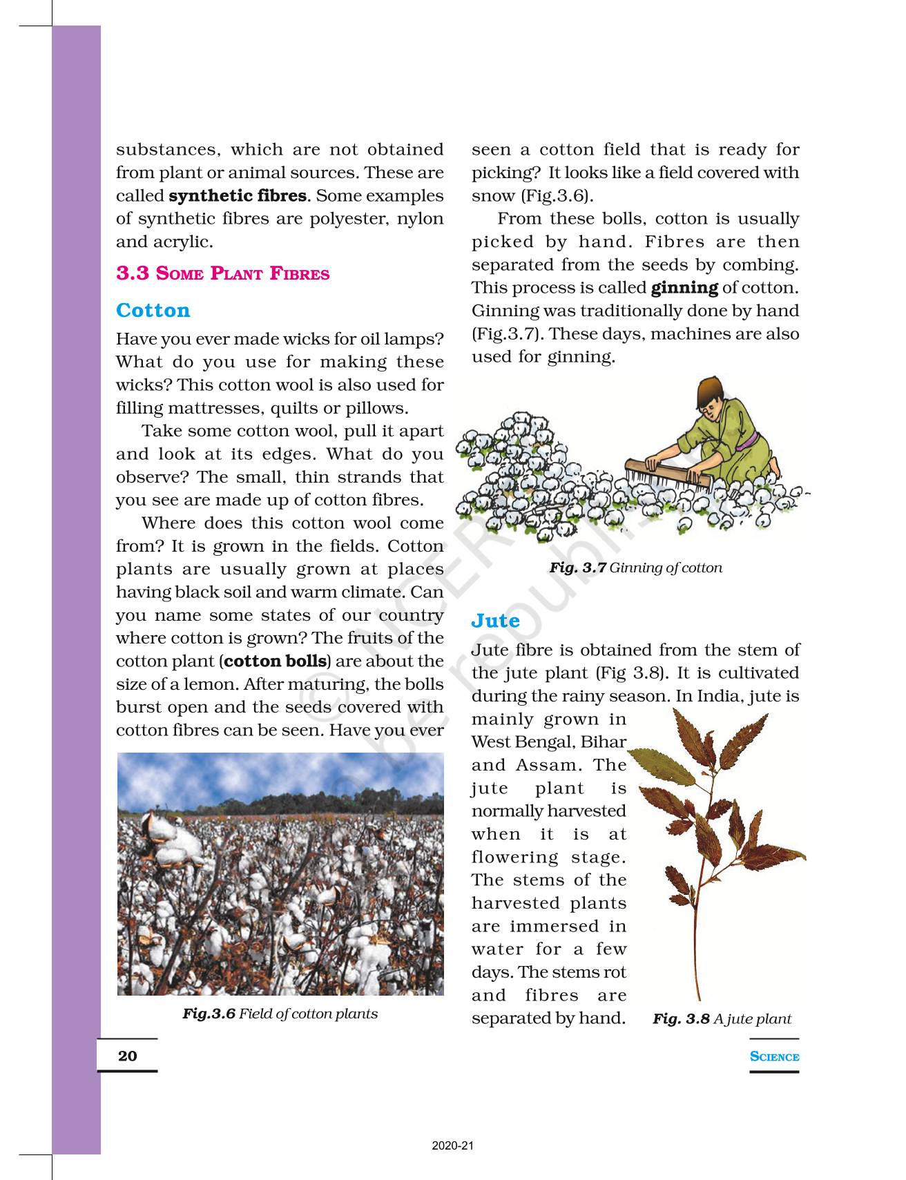 Fibre To Fabric - NCERT Book Of Class 6 Science